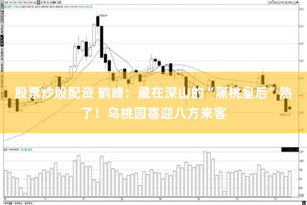 股票炒股配资 鹤峰:藏在深山的“黑桃皇后”熟了!乌桃园喜迎八方来客